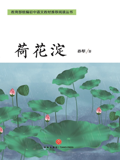Cover image for 荷花淀